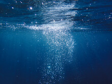 Bubbles, Bubbles Undersea, Undersea, Green Water, Underwater, Crystal Sea, Background, Sea, Bubble, Bubbles Underwater, Water, Blue, Ocean, Mediterranean, Light, Diving, Backdrop, Air, Marine, Aqua.