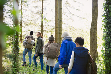 Wall Mural - Friends hiking in woods