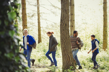 Wall Mural - Friends hugging in sunny woods