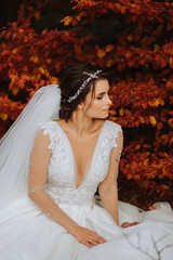 Wall Mural - Beautiful bride in autumn forest in long lace dress holding veil in autumn forest. Semi-long