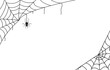 Leinwandbild Motiv Spider web black with transparent background