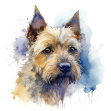 Watercolor Portrait Of Cute Scottish Terrier Dog. 