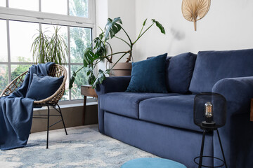 Interior of light living room with cozy blue sofa, armchair and houseplants