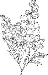 Wall Mural - botanical delphinium drawing, isolated larkspur flower line art black and white clipart, tattoo simple delphinium flower drawing, simple larkspur flower drawing, july bitth flower illustrtion.