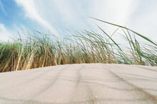 Sand Dunes On The Shore Of The Pacific Ocean, And Beach Grass (Marram Grass) Growing In The Sand. California Beach Landscape With Smooth Cloudy Sky