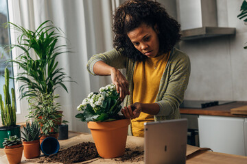 Wall Mural - A woman is using digital tablet to learn how to properly replant houseplants.