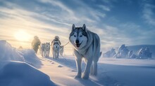 Inuit Hunter Navigating Dog Sled