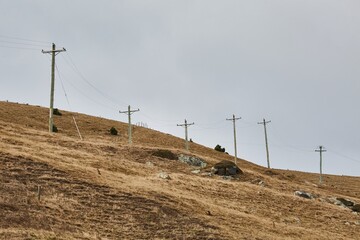 Electric lines on wooden post