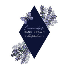 Wall Mural - Stylish minimalistic modern label with lavender and butterfly . Aromatherapy series. Great for traditional medicine, perfume design, cooking or gardening labels.