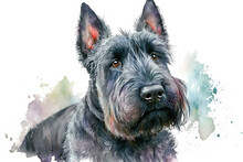 Illustration Of The Scottish Terrier On A Grey White Background. Generative AI.