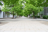 alley in the city park