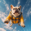 © Diio - Generative AI french bulldog dog jumping over blue sky with copy space.
