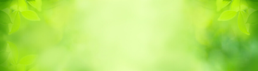 Poster - Abstract blurred nature of green leaf. Natural green leaves plants using as spring background cover page greenery environment ecology lime green wallpaper