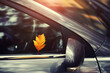 Autumn leaf on the windshield of a car. attractive detail picture of a maple leaf lying on the rain-wet body of a car