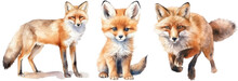 Watercolour Illustration Of Three Foxes Isolated On White Background As Transparent PNG, Generative AI Animal Clipart Bundle