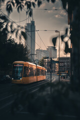 Straßenbahn vor der Essener Skyline 