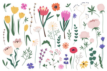 Wall Mural - Flowers and herbs mega set graphic elements in flat design. Bundle of abstract wildflowers, peony, pop, tulip and other spring blossoms, wild plants with leaves. Illustration isolated objects
