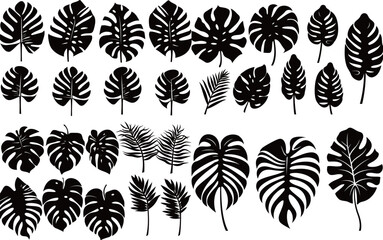 Wall Mural - Plant silhouette, black and white design, vector illustration, SVG, great for t-shirt, mug, birthday card, wall sticker, sticker, iron-on, scrapbooking,