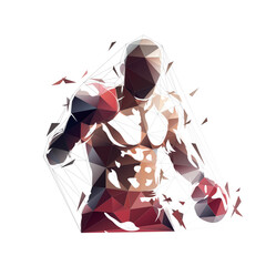 Wall Mural - Boxing, combat sport fighter, isolated low polygonal vector illustration from triangles