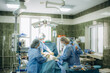 a group of doctors are preparing for a caesarean section