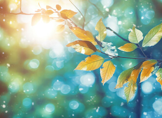 Wall Mural - sunny fall background in autumn. copy space for greeting.