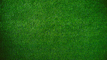 Green Grass Texture Background Grass Garden Concept Used For Making Green Background Football Pitch, Grass Golf, Green Lawn Pattern Textured Background......