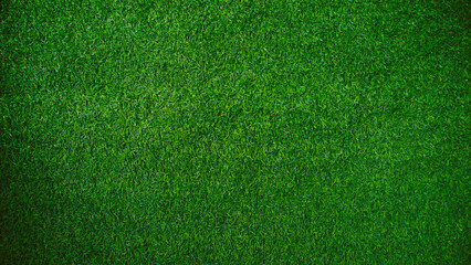 green grass texture background grass garden concept used for making green background football pitch,
