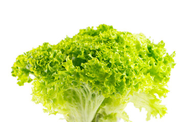Wall Mural - Lettuce organic salad, fresh green hydroponic vegetable isolated on white transparent background, PNG. Salad leaves close up. Vegetarian food, healthy lifestyle