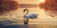 Swan On Lake At Sunset (AI Generated)