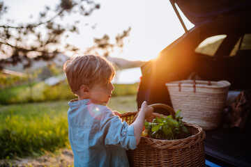 Wall Mural - Little boy giving picnic basket in their electric car.