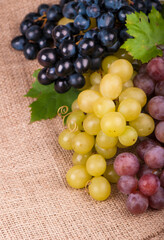 Poster - Bunches of fresh ripe red grapes on a wooden textural