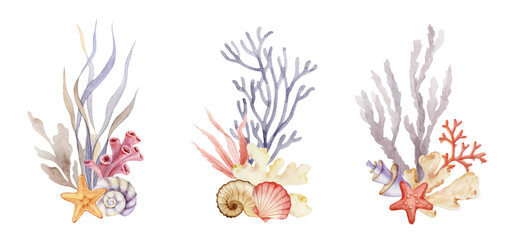 Watercolor  set underwater floral bouquet shells and algae. Design wall art, wedding, print, invitations, cover, card, tourism, travel booklet. Hand drawn illustration.