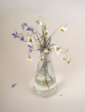 Withered Flowers In A Glass Vase On Table