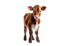 Baby Cow Transparent Isolated Calf, Generative AI