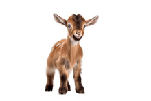 Baby Goat Transparent Isolated Calf, Generative AI