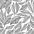 Seamless leaves isolated on white background.  Leaf decorative elements.