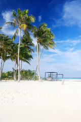 Wall Mural - Idyllic Beach with Palm Trees at the Maldives, Indian Ocean