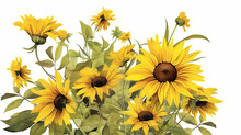 A Vibrant Bouquet Of Sunflowers