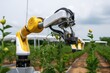 Robotics and artificial intelligence for agriculture. Autonomous agriculture robots. AI-powered farming robots on field with plants