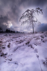 Wall Mural - Mountain views of winter landscape