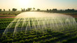 canvas print picture - Modern smart irrigation systems technology for growing farming plants