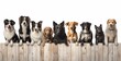 a group of different dogs behind a banner, created with Generative AI technology