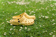 Yellow comfortable light rubber shoes standing on a meadow with daisies. Summer concept with copy space. Yellow rubber clogs.