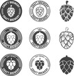 Set of Hop craft beer sign symbol label element. Label,emblem or badge template. Vector illustration.