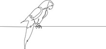 Continuous Single Line Drawing Of A Parrot, Line Art Vector Illustration