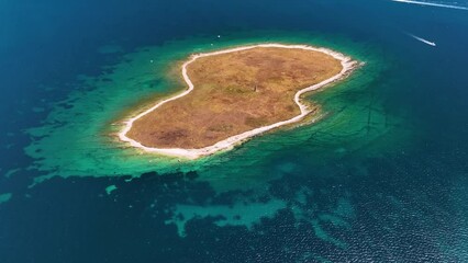 Wall Mural - view from the air on the sea and coast. sea relaxation and travel. the forest near the sea. azure wa