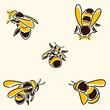Confused cute honey bee icon