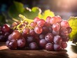 Rote Bio Weintrauben aus der Provence, frisch gepflückt