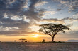 Sunset at Amboseli National Park, Kenya