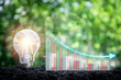 © Mongta Studio - Cost reduction business finance concept, Light bulb on soil with graph and cost reduction icon on virtual screen, costs optimization business concept.